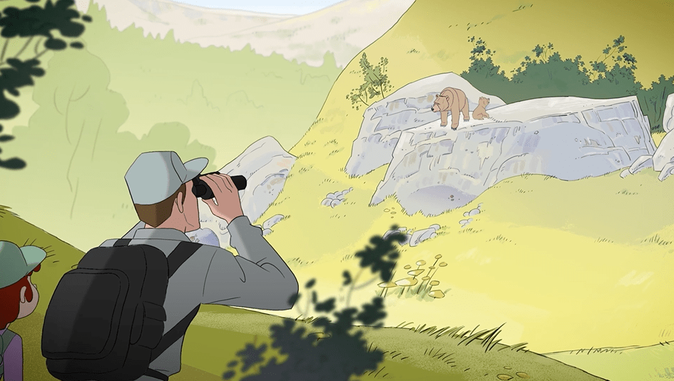 Instructions for a safe visit to brown bear sites (video)