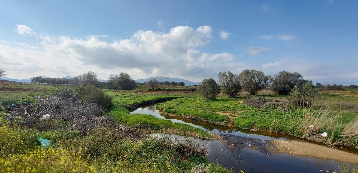 Το βολικό αφήγημα για το αττικόψαρο και τα αντιπλημμυρικά έργα στον Ερασίνο και την Αττική