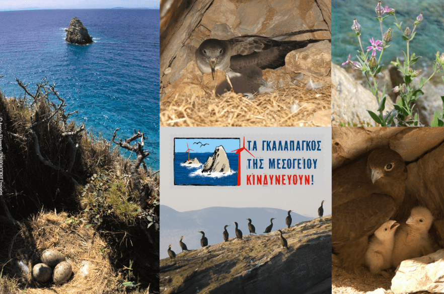 Το χρονικό μιας κοινής προσπάθειας για τη διαφύλαξη των τελευταίων καταφυγίων βιοποικιλότητας της Ευρώπης