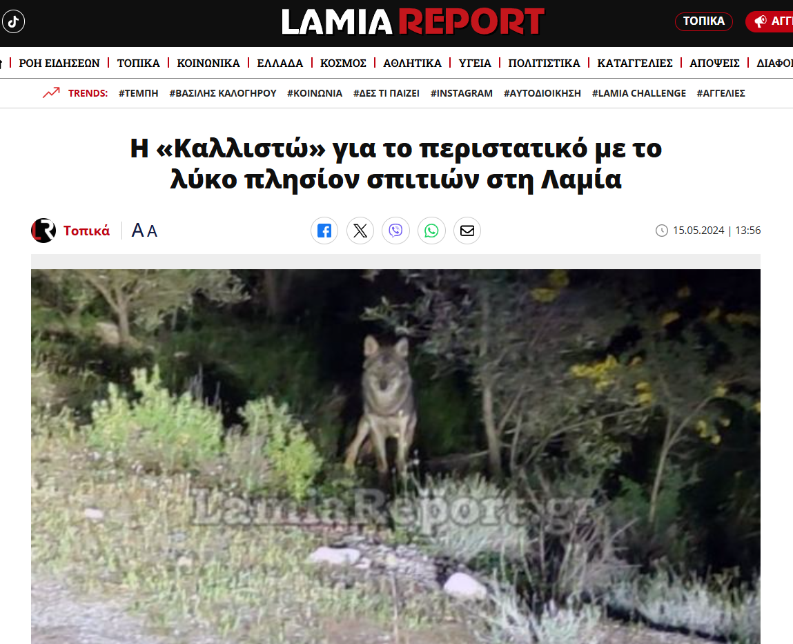 Ανακοίνωση/ επιστολή προς το Lamia Report με αφορμή δημοσίευμα για επίθεση λύκου σε πρόβατα