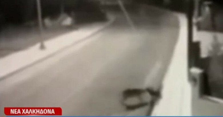 Για τα πρόσφατα περιστατικά προσέγγισης λύκων σε οικισμούς της Νέας Χαλκηδόνας Θεσσαλονίκης και των επιθέσεων τους σε αδέσποτους σκύλους