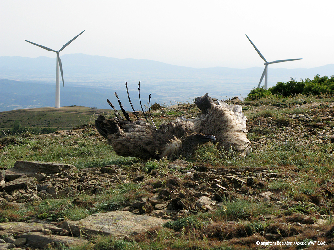 Ισχυρή προειδοποίηση ΕΕ για αλόγιστη χωροθέτηση Αιολικών Σταθμών σε προστατευόμενες περιοχές στην Ελλάδα