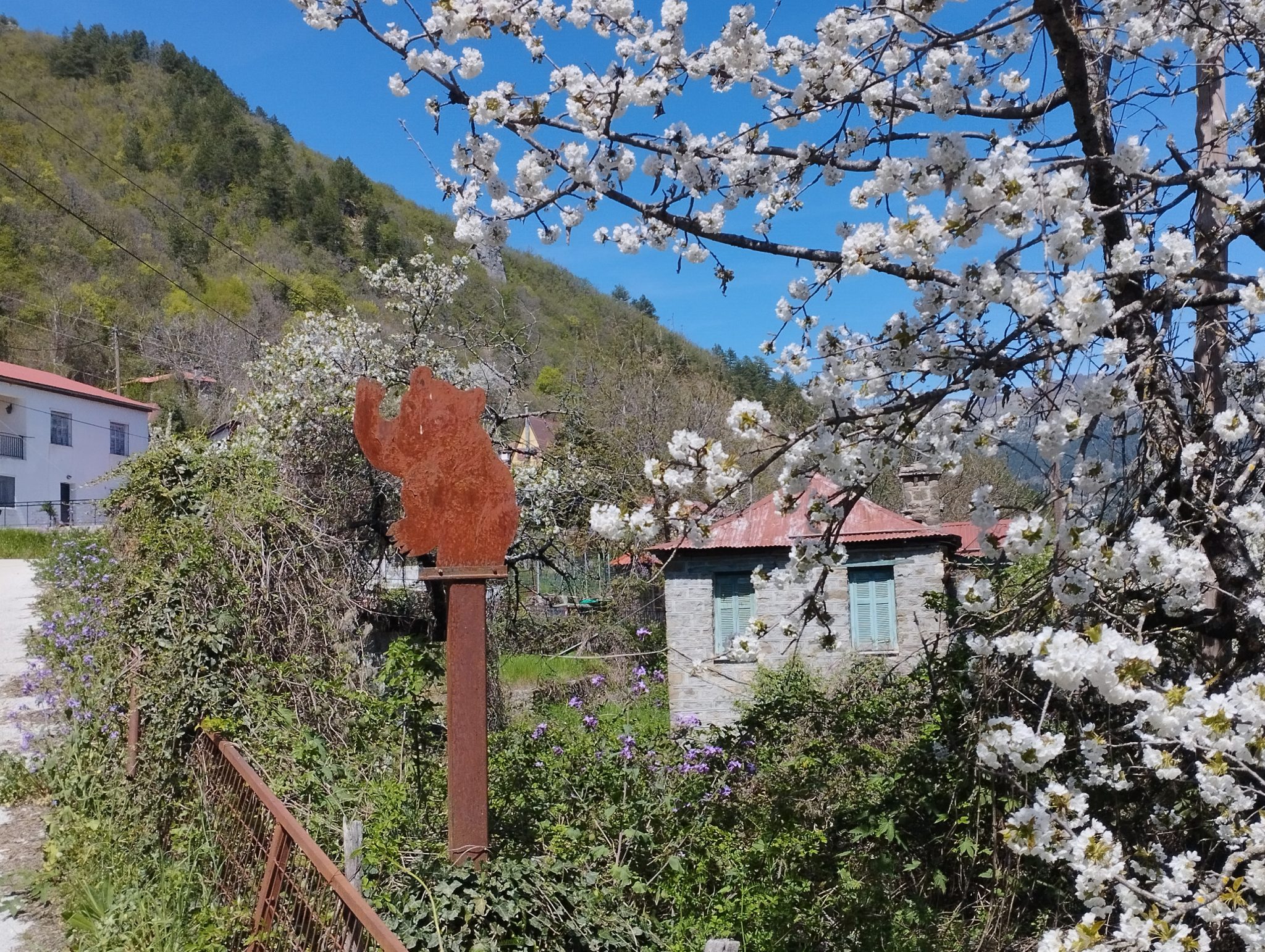 Ανοιχτή συνάντηση στο Φεστιβάλ Βωβούσας για την βιώσιμη συνύπαρξη ανθρώπων και αρκούδων στην Οροσειρά της Πίνδου