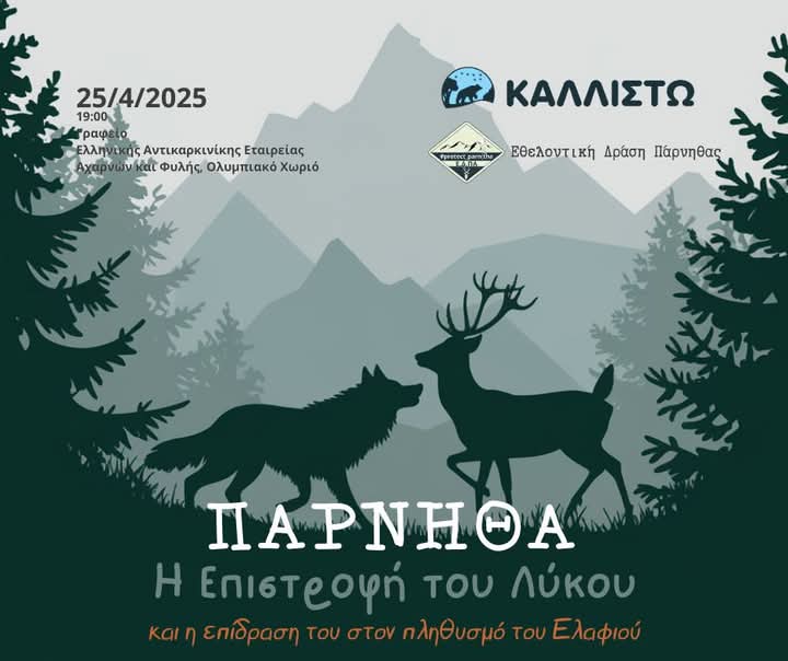 Ενημερωτική συνάντηση για τον λύκο στην Πάρνηθα