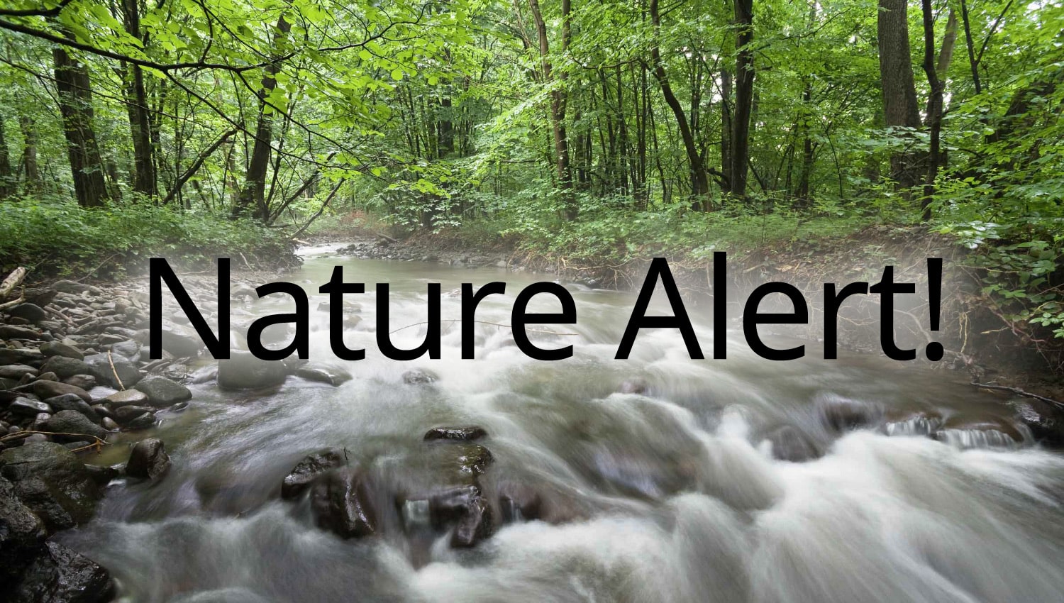 Νέα από τις εκστρατείες #NatureAlert, #stopTTIP, #stopCETA