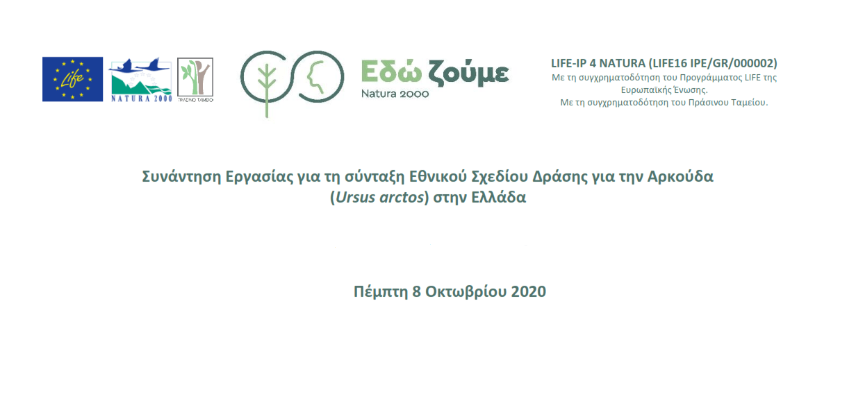 Τηλεδιάσκεψη εργασίας για το Εθνικό Σχέδιο Δράσης για την Καφέ Αρκούδα