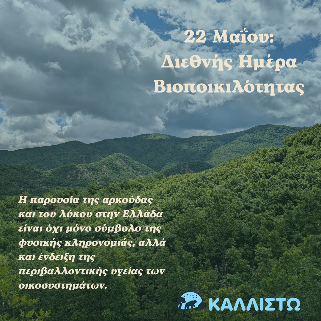 22 Μαΐου: Διεθνής Ημέρα Βιοποικιλότητας