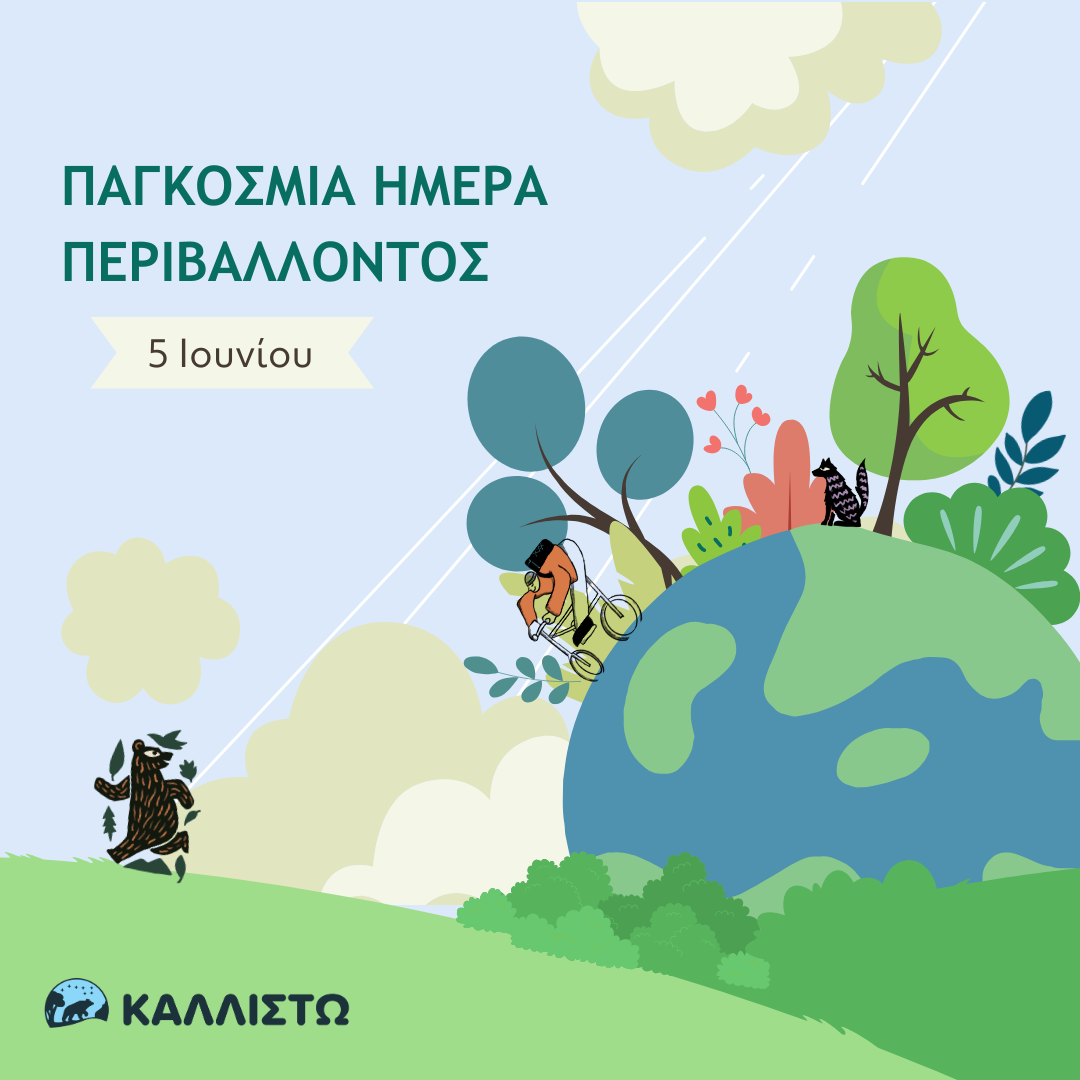 Η προστασία της άγριας ζωής είναι προστασία του «κοινού μας σπιτιού»