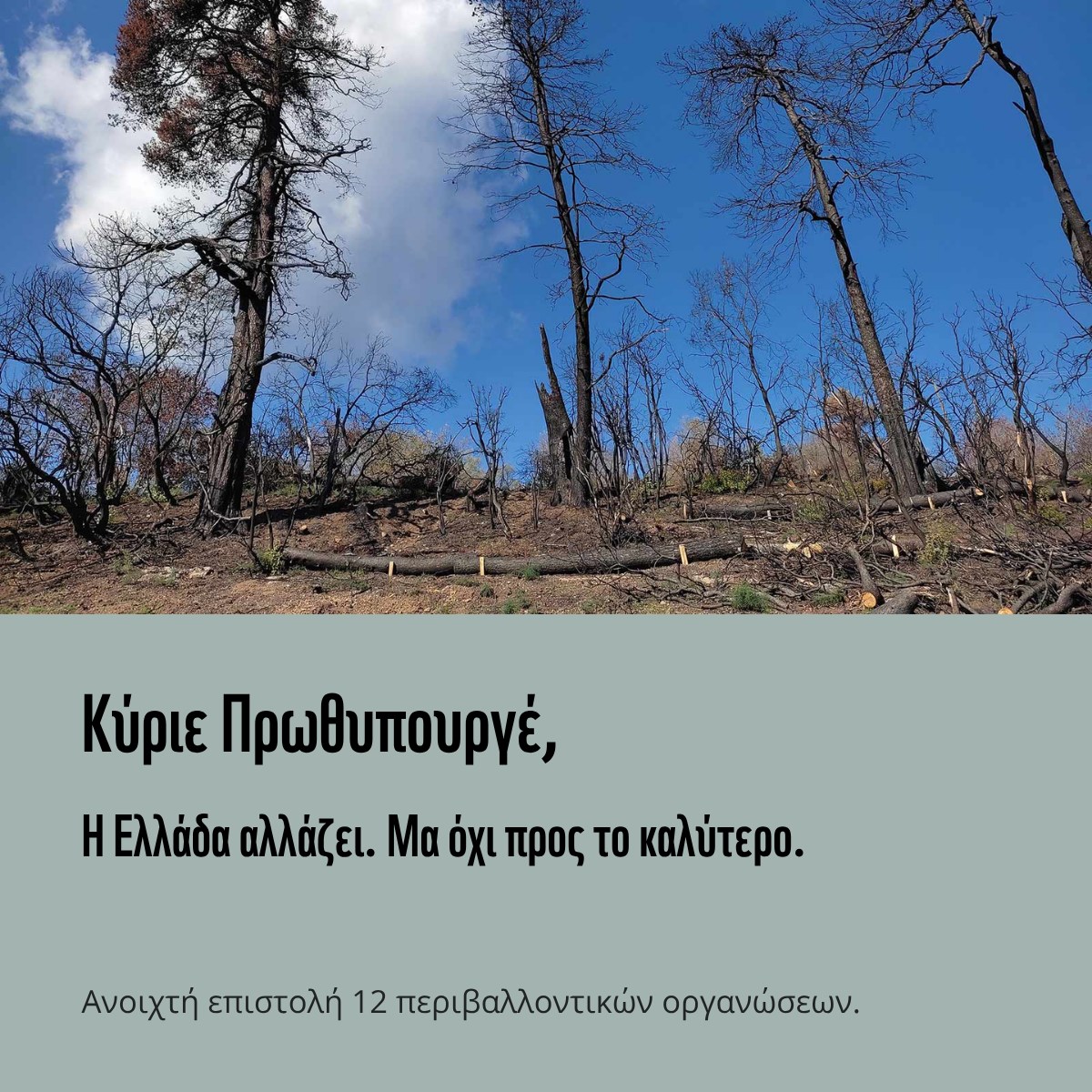 Ανοιχτή επιστολή: Κύριε Πρωθυπουργέ, η Ελλάδα αλλάζει, μα όχι προς το καλύτερο