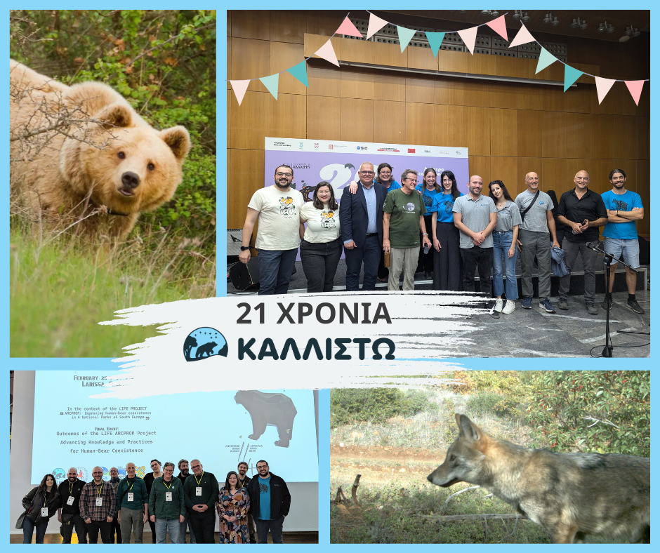 5 Ιουλίου 2025: 21 χρόνια Καλλιστώ!