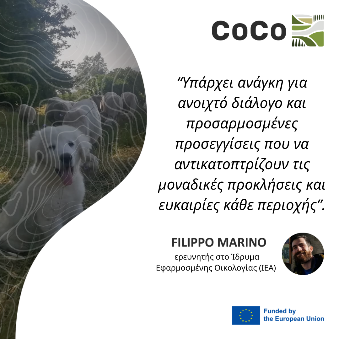 Ανακοίνωση του έργου CoCo: Προλαμβάνοντας τις ζημιές, χτίζοντας κατανόηση