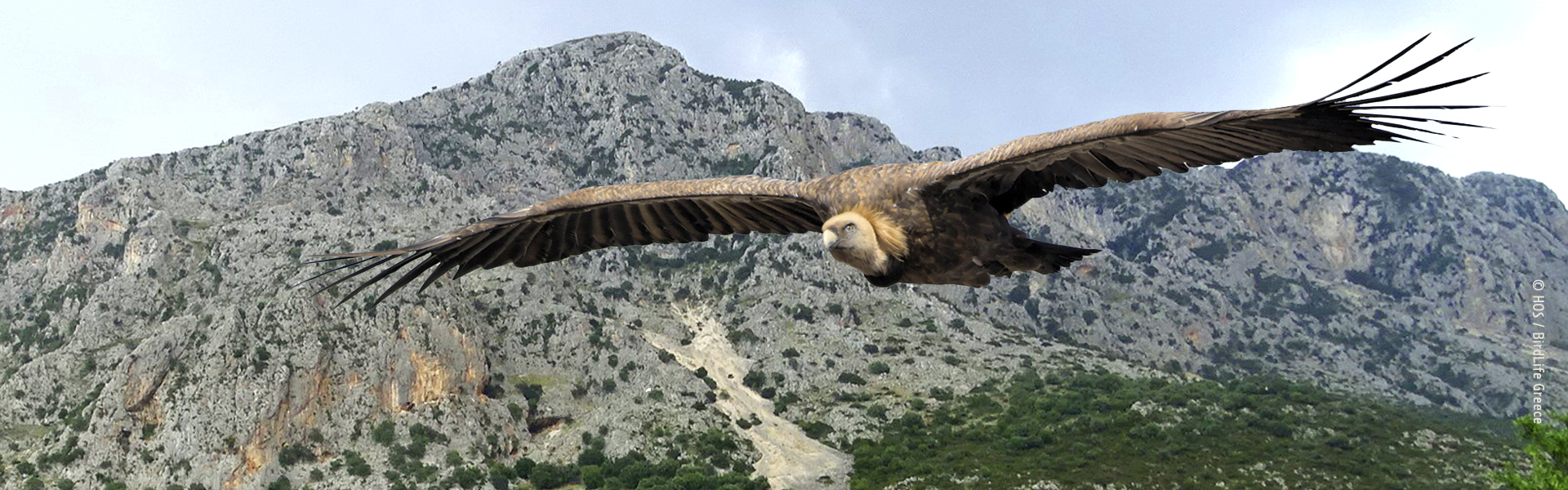 Απόφαση-ορόσημο της ΡΑΑΕΥ για τον θεσμό των Ενεργειακών Κοινοτήτων!