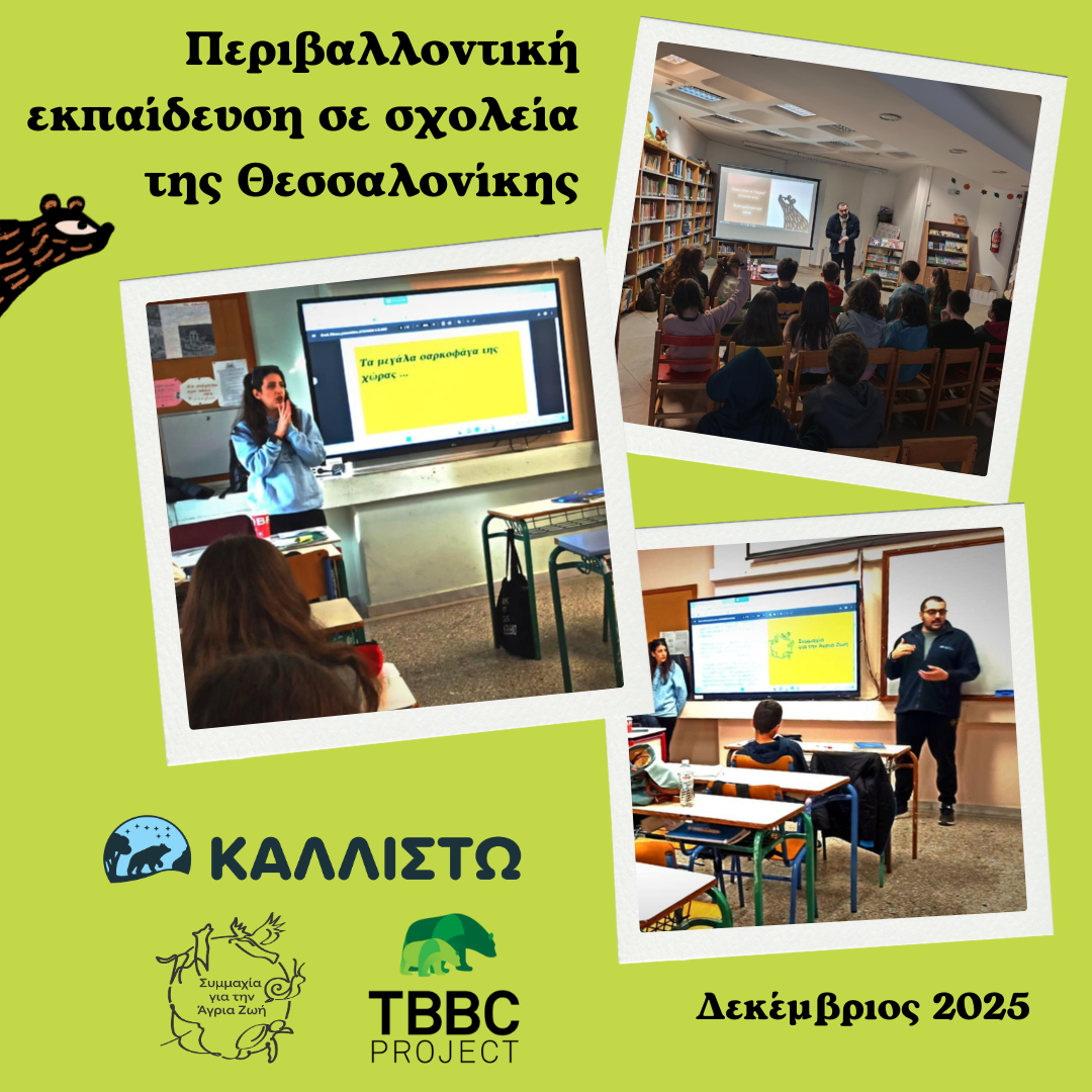 Περιβαλλοντική εκπαίδευση σε σχολεία της Θεσσαλονίκης