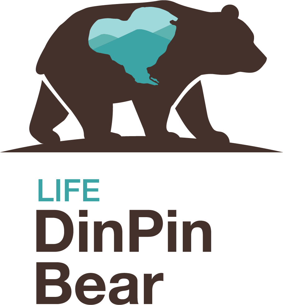 Life DinPin Bear